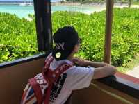 旅遊推介 沖繩站-部瀨名海中公園