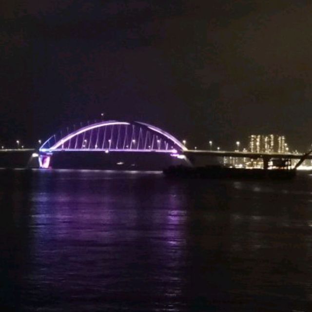 將藍大橋 , 將軍澳澳南海濱公園！新地標！打卡聖地！