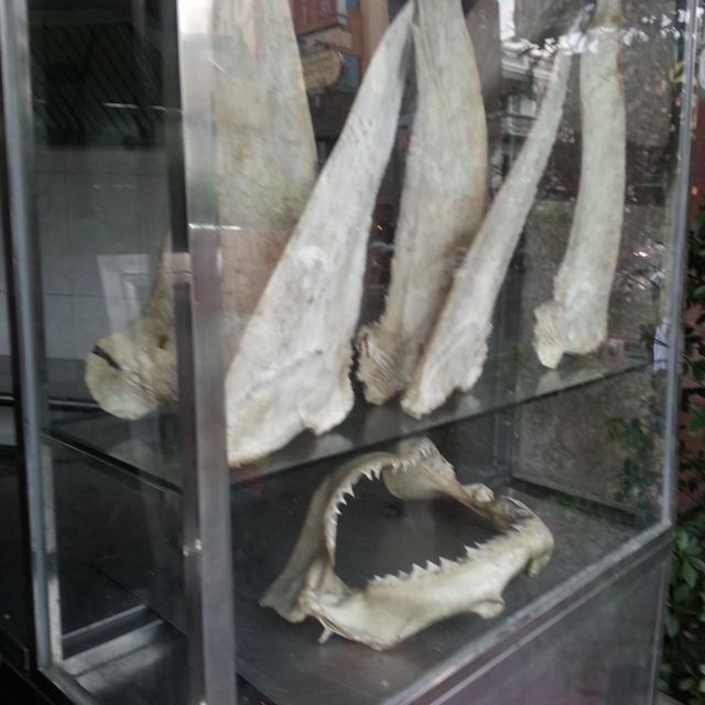 鮑翅&燕窩、泰國旅程就畫上完美句點😁
