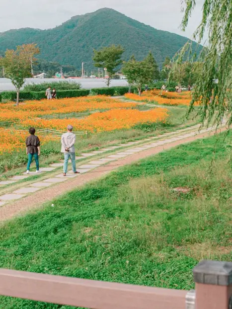 서울근교 드라이브하기좋은 물의정원