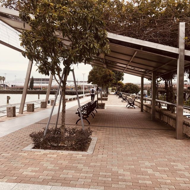 Reservoir Park Trails Macau
