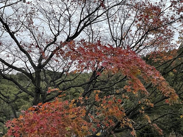 【福岡】若杉山麓にある立ち寄り湯