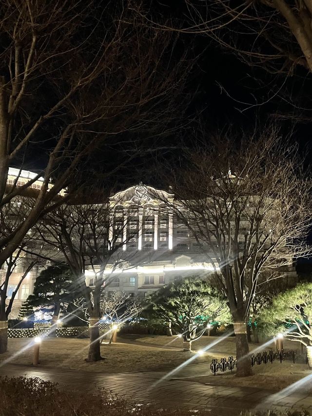 프라이빗 비치가 있는 양양쏠비치✨