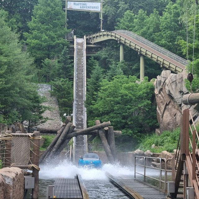 Most beautiful theme park: Everland💙