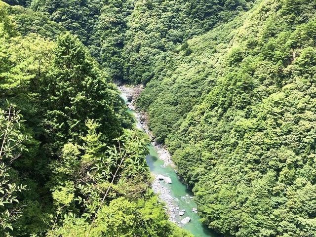【徳島旅行】崖の上に立つ小便小僧！！