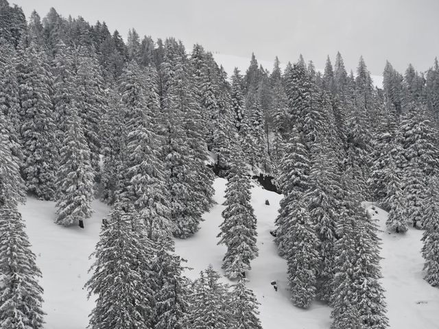 ราชินีแห่งขุนเขา Rigi 🇨🇭
