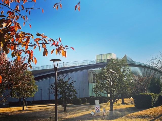 豊洲公園
