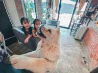 ขอนแก่น ทาสน้องหมาต้องมาคาเฟ่นี้ 🐶