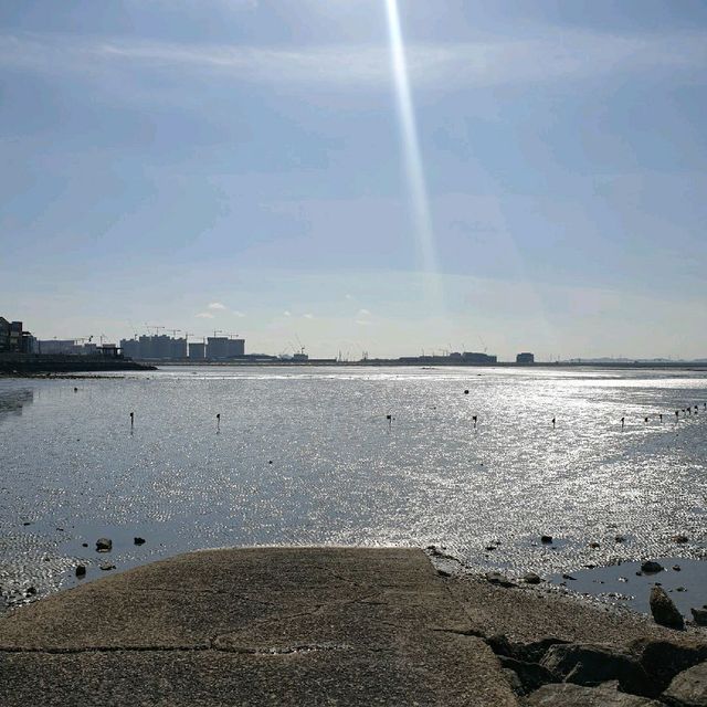 이색적인 오이도 겨울바다