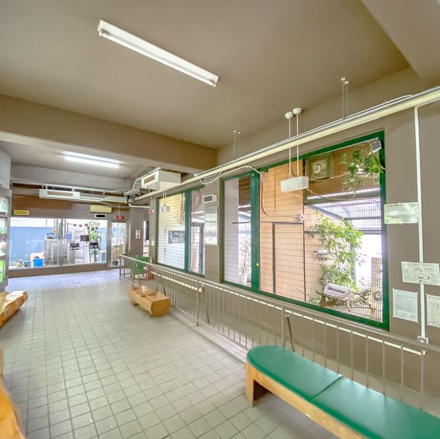 冬の円山動物園・カンガルー館