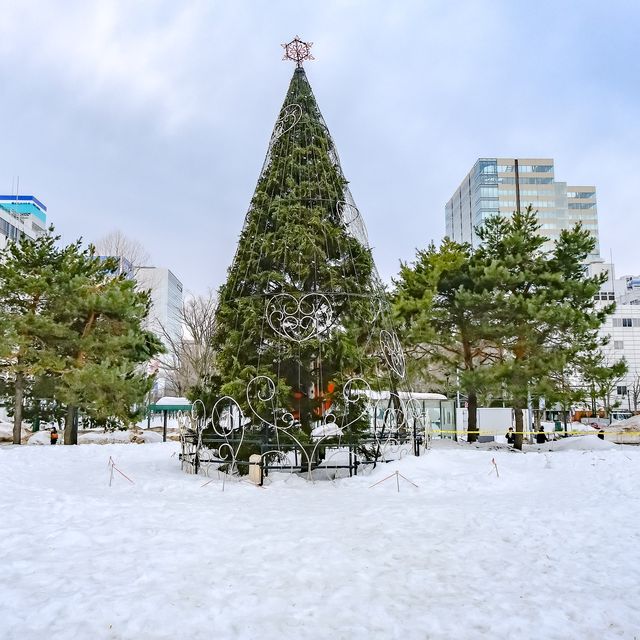 さっぽろテレビ塔前のツリー さっぽろテレビ塔前のツリー