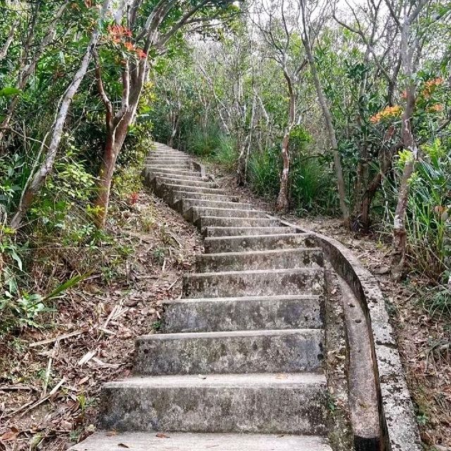 香港行山|孖岗山