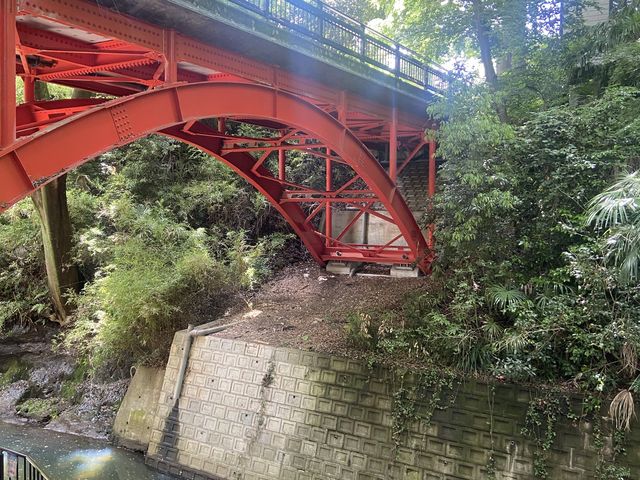 【東京にこんなところが？】週末に等々力渓谷で自然浴してきた！