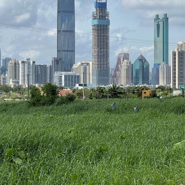 沿梧桐河行走，一路飽覽深圳和香港的城鄉美景