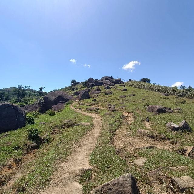 針山·草山