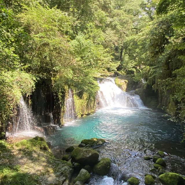 Kumamoto よか旅