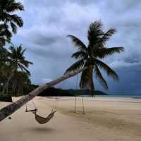 A Beach Within The Forest