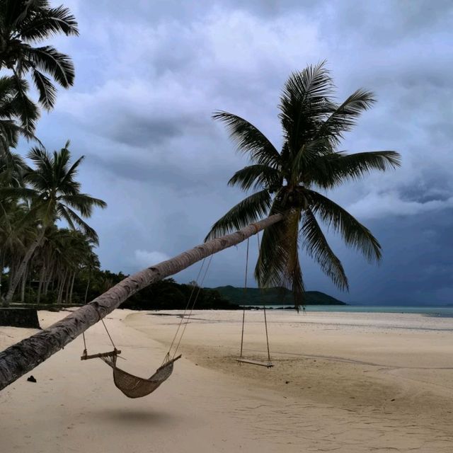 A Beach Within The Forest