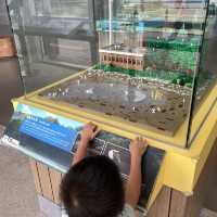 濕地公園LEGO微縮場景展覽