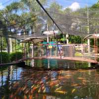 Davao Crocodile Park and Zoo 🐾