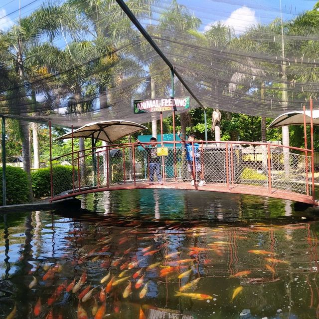 Davao Crocodile Park and Zoo 🐾
