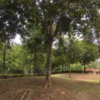 Uphill recreational park