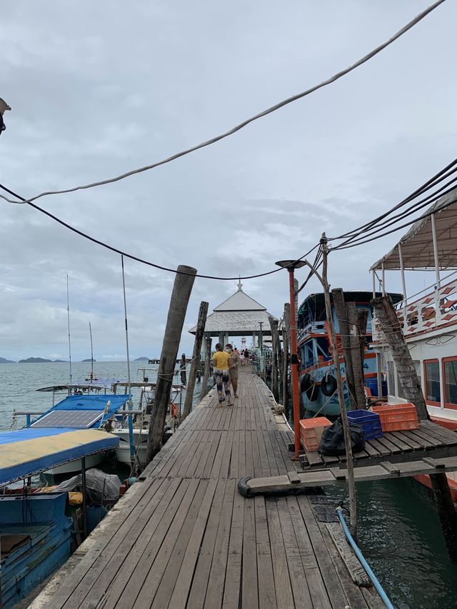 เกาะช้าง มีช้างจริงๆ 