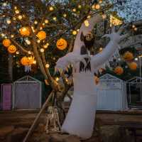 제주 “수목원길야시장”에서 즐기는 할로윈🎃