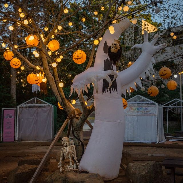 제주 “수목원길야시장”에서 즐기는 할로윈🎃