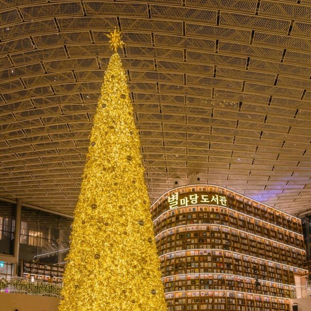 🎄거대한 황금빛 트리를 만날 수 있는 외국감성 도서관 [서울, 별마당도서관]