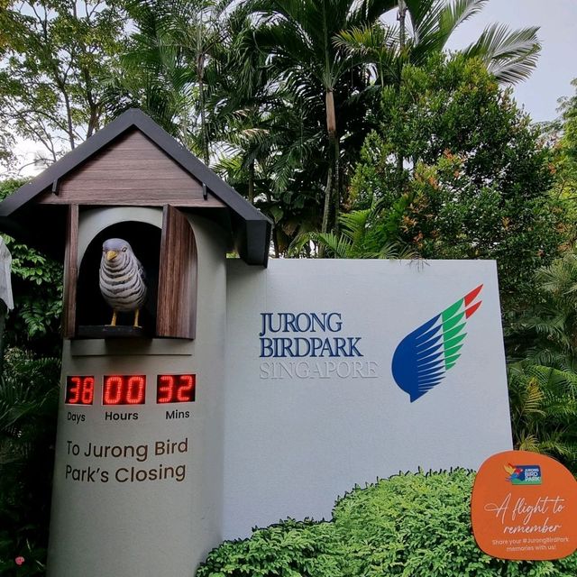 Jurong Bird Park, a flight to remember 