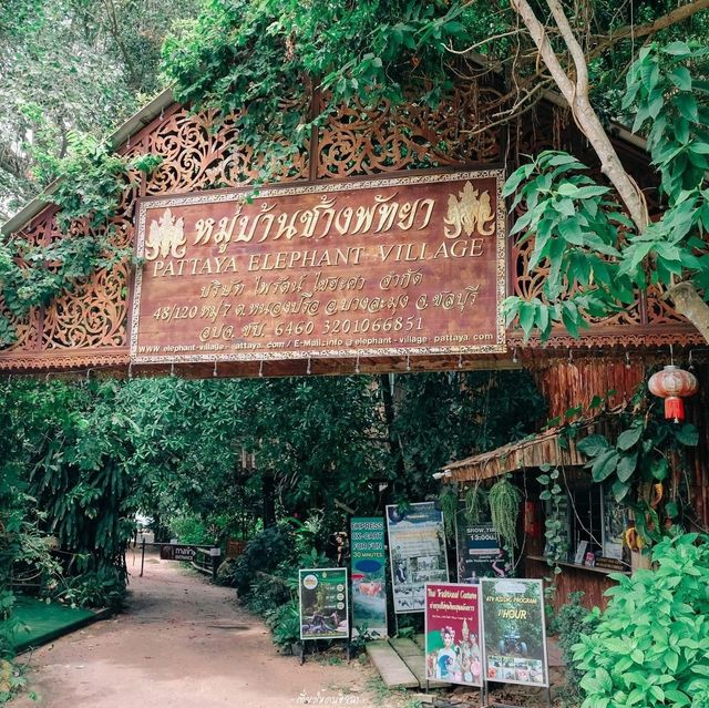 มองช้างคาเฟ่ สไตล์ซาฟารีคาเฟ่ อยู่พัทยานี่เอง