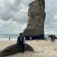 Cathedral Cove, Coromandel New Zealand 