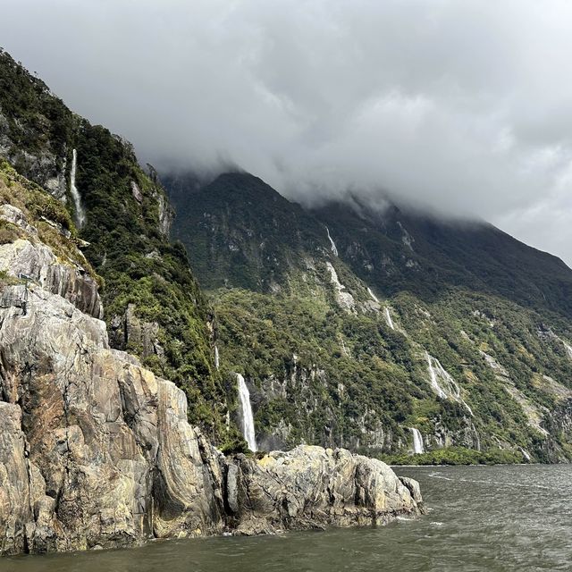 NZ 紐西蘭 南島 米佛峽灣 Milford Sound