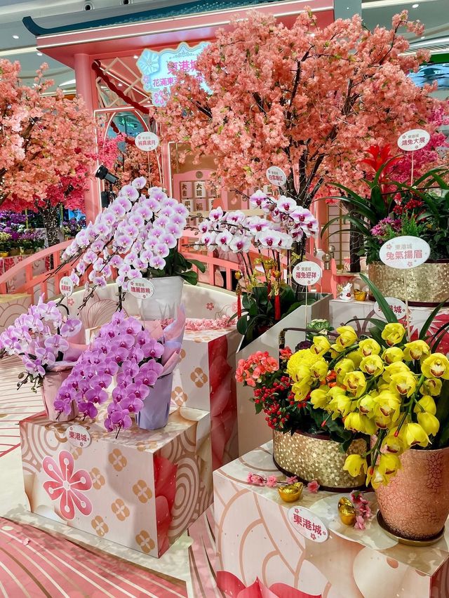 打卡好去處 粉紅櫻花園林🌸 打卡好去處 粉紅櫻花園林🌸