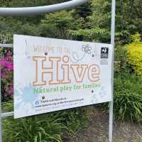英國曼徹斯特 超大綠化公園 欣賞不同種類嘅植物