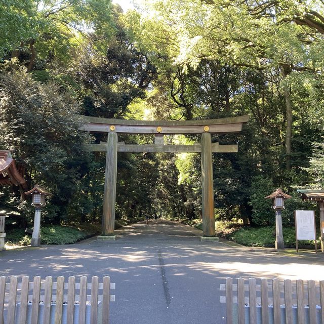 【東京】明治神宮に行ってきました！