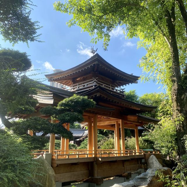 港版小京都 🇯🇵🎎