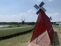 誰說去荷蘭🇳🇱才能看到木鞋👞風車🌀台南柳營『德元埤荷蘭村』讓你一次看個夠