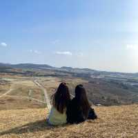 가벼운 산행으로 제주도를 한눈에! 새별오름⛰