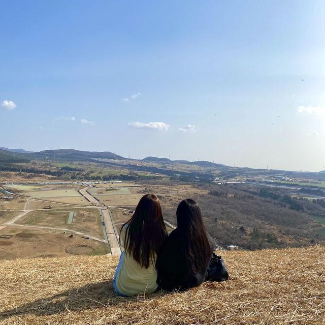 가벼운 산행으로 제주도를 한눈에! 새별오름⛰