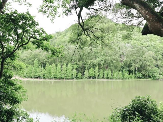 流水響郊遊徑