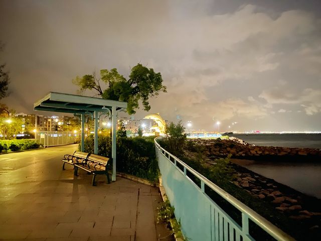 夜遊海豚廣場