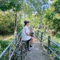 ปั่นจักรยานชมวิวที่บางกระเจ้า