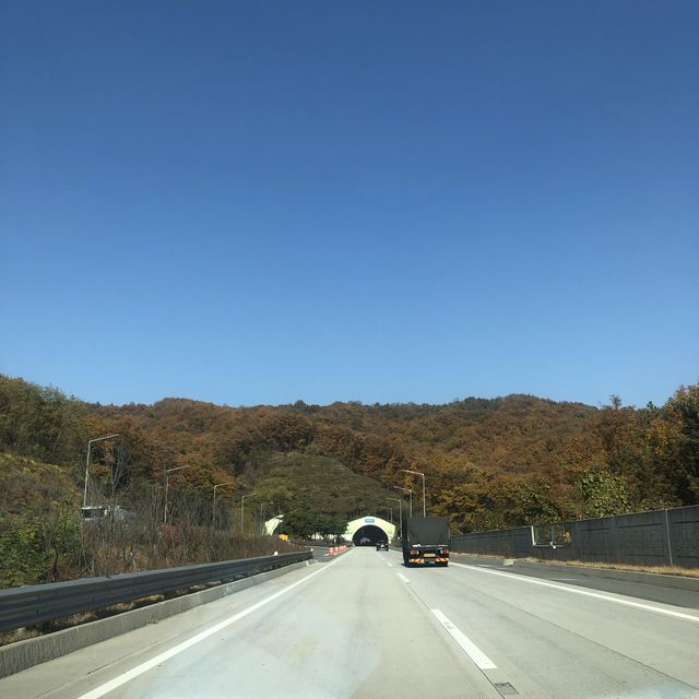 단풍 보러 떠난 단양 여행 -1