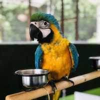 Mini Zoo of Kuala Krai
