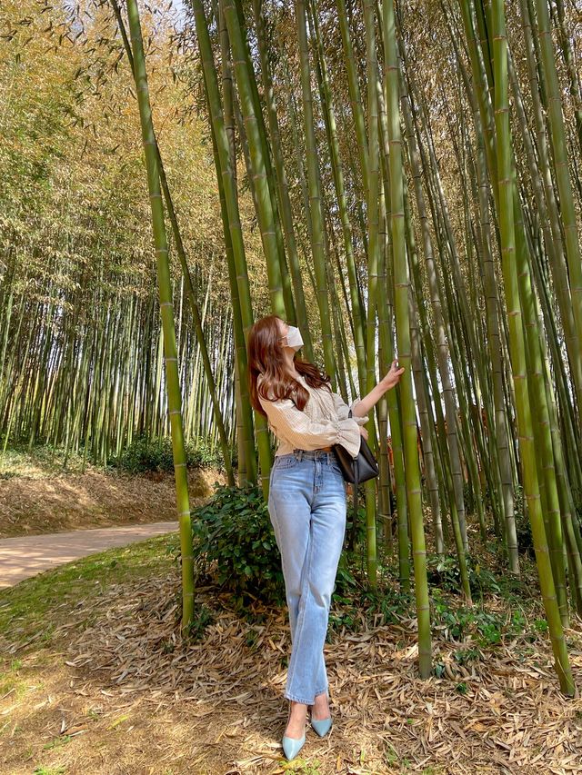 시원하고 청량한 공기 마시러~  담양 “죽녹원”🎋