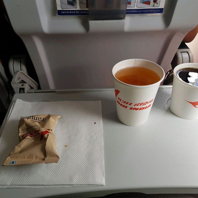 Air India in flight meal.