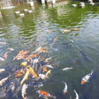 將軍澳坑口文曲里公園