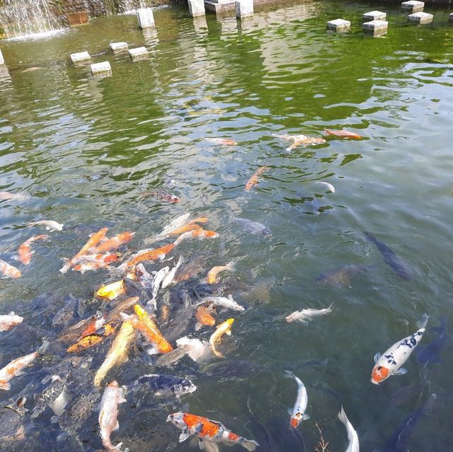 將軍澳坑口文曲里公園